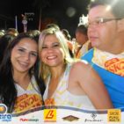 Bloco Skol Folia